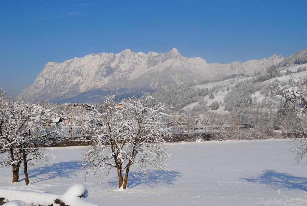 Appartement Familien-Bauernhof Neumoar à Sankt Johann im Pongau Extérieur photo